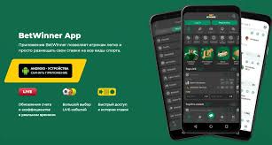 BetWinner CI Review A Comprehensive Look at the Online Betting Platform