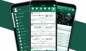 Exclusive BetWinner Bonus Offers You Should Not Miss