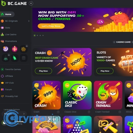 Understanding BC.Game General Terms and Conditions -604679370
